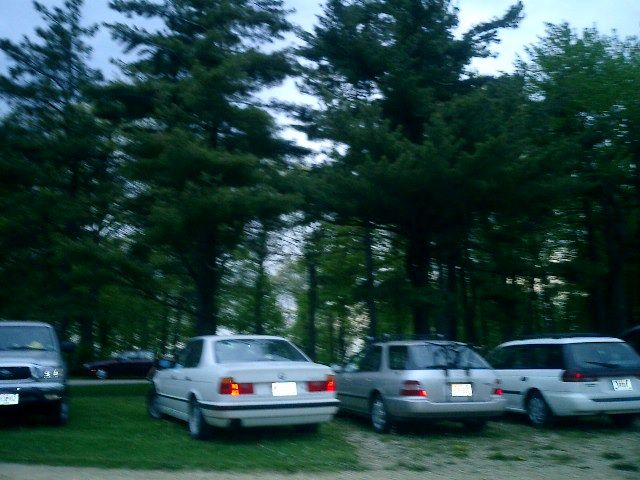 Kira's tree shot